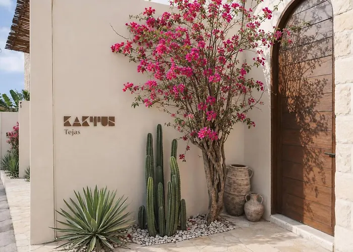 Kaktus Tejas Quiet And Calm In *